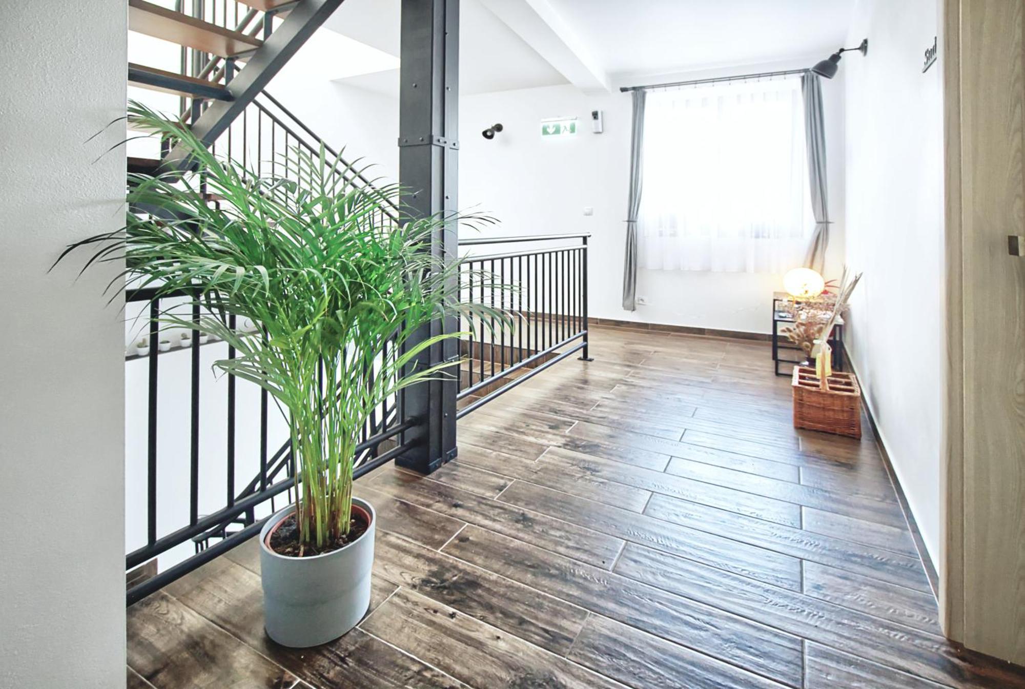U Josifka Hotel Pavlov Exterior photo